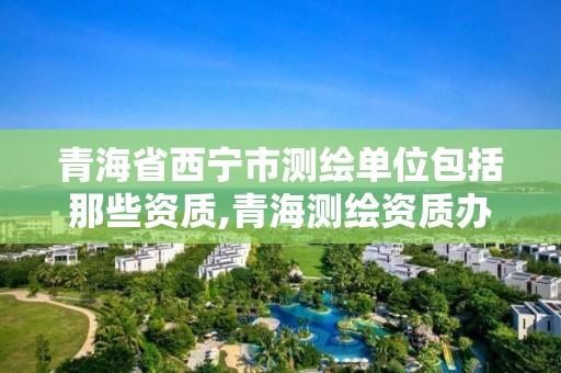 青海省西宁市测绘单位包括那些资质,青海测绘资质办理