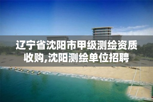 辽宁省沈阳市甲级测绘资质收购,沈阳测绘单位招聘