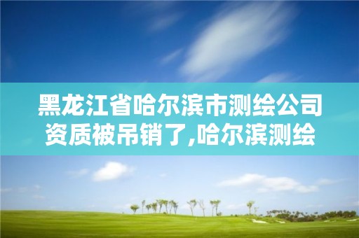 黑龙江省哈尔滨市测绘公司资质被吊销了,哈尔滨测绘公司招聘