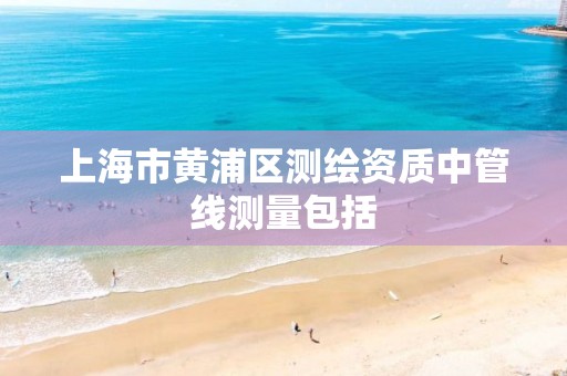 上海市黄浦区测绘资质中管线测量包括