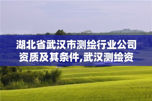 湖北省武汉市测绘行业公司资质及其条件,武汉测绘资质代办。