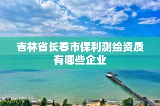 吉林省长春市保利测绘资质有哪些企业