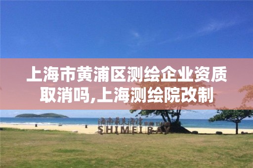 上海市黄浦区测绘企业资质取消吗,上海测绘院改制