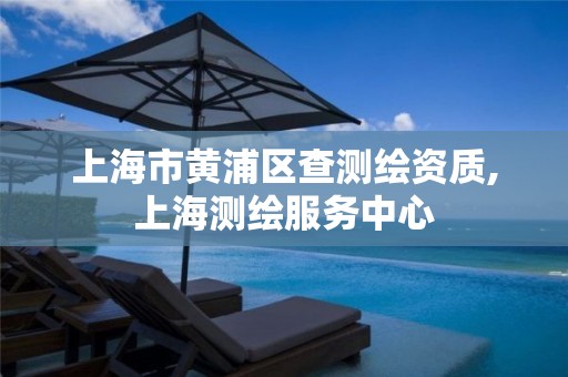 上海市黄浦区查测绘资质,上海测绘服务中心