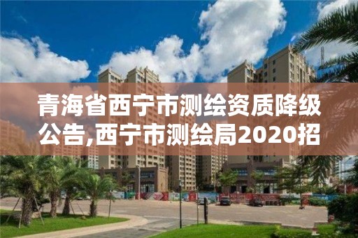 青海省西宁市测绘资质降级公告,西宁市测绘局2020招聘