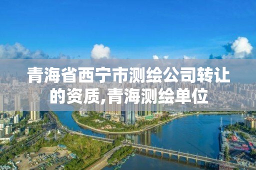 青海省西宁市测绘公司转让的资质,青海测绘单位