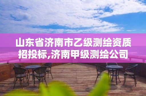 山东省济南市乙级测绘资质招投标,济南甲级测绘公司