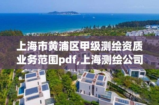 上海市黄浦区甲级测绘资质业务范围pdf,上海测绘公司排名名单。