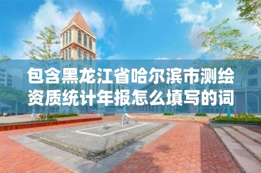 包含黑龙江省哈尔滨市测绘资质统计年报怎么填写的词条