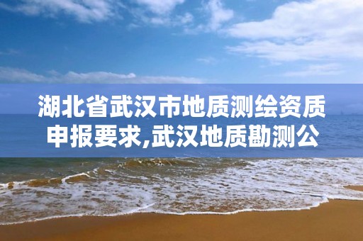 湖北省武汉市地质测绘资质申报要求,武汉地质勘测公司