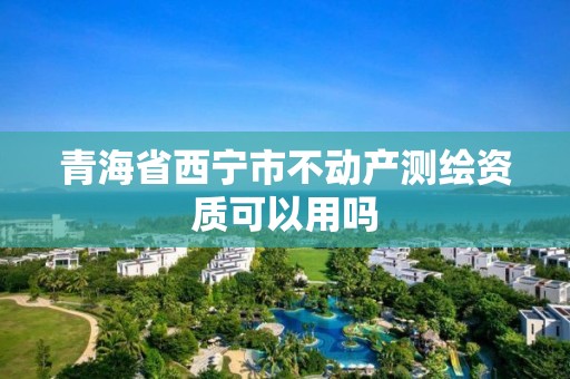 青海省西宁市不动产测绘资质可以用吗