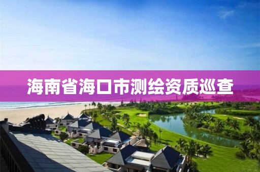 海南省海口市测绘资质巡查