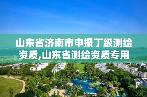 山东省济南市申报丁级测绘资质,山东省测绘资质专用章 丁级