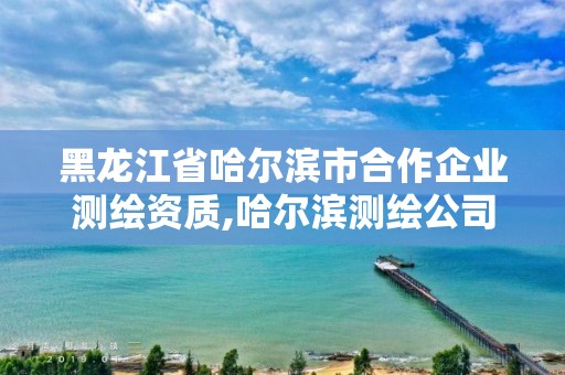 黑龙江省哈尔滨市合作企业测绘资质,哈尔滨测绘公司招聘