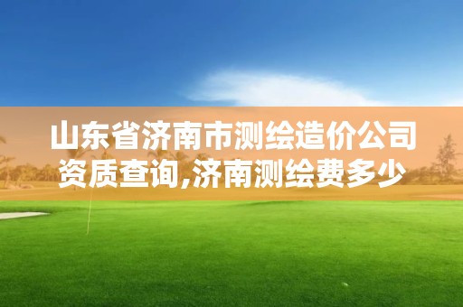 山东省济南市测绘造价公司资质查询,济南测绘费多少钱一平