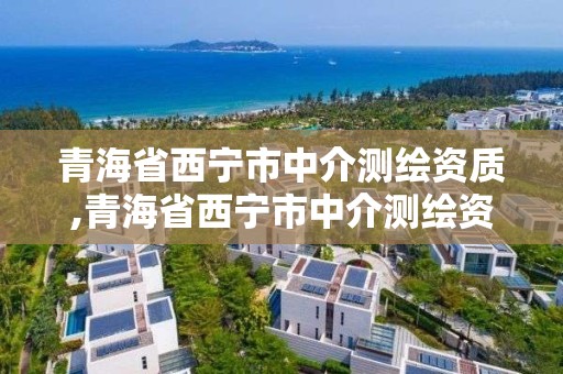 青海省西宁市中介测绘资质,青海省西宁市中介测绘资质公司