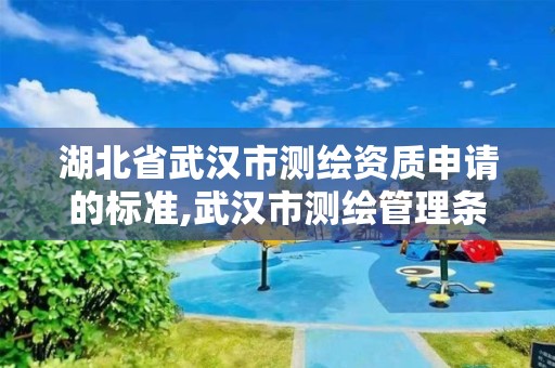 湖北省武汉市测绘资质申请的标准,武汉市测绘管理条例