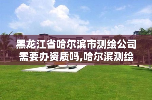 黑龙江省哈尔滨市测绘公司需要办资质吗,哈尔滨测绘局是干什么的