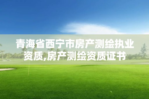 青海省西宁市房产测绘执业资质,房产测绘资质证书