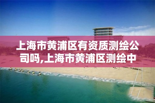 上海市黄浦区有资质测绘公司吗,上海市黄浦区测绘中心