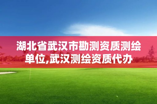 湖北省武汉市勘测资质测绘单位,武汉测绘资质代办