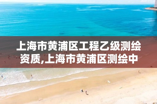 上海市黄浦区工程乙级测绘资质,上海市黄浦区测绘中心