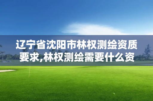 辽宁省沈阳市林权测绘资质要求,林权测绘需要什么资质