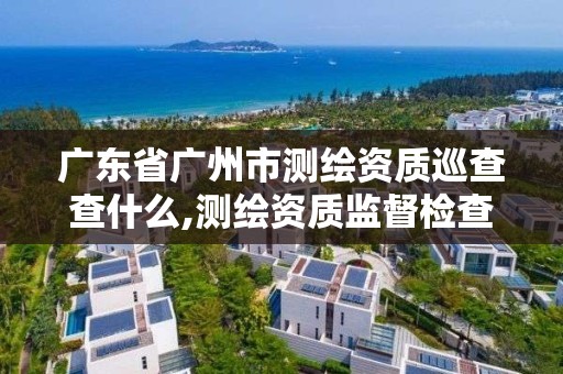 广东省广州市测绘资质巡查查什么,测绘资质监督检查办法