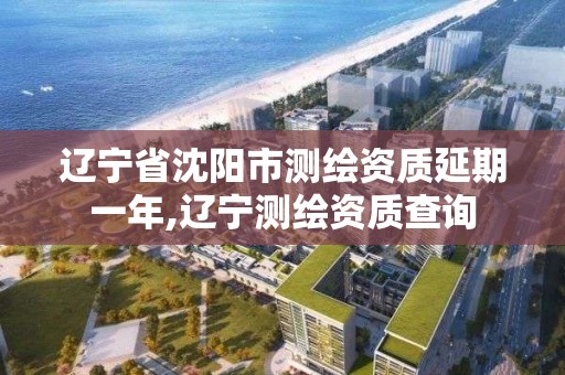 辽宁省沈阳市测绘资质延期一年,辽宁测绘资质查询