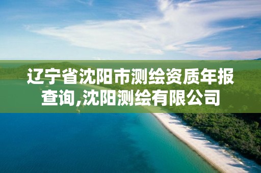 辽宁省沈阳市测绘资质年报查询,沈阳测绘有限公司