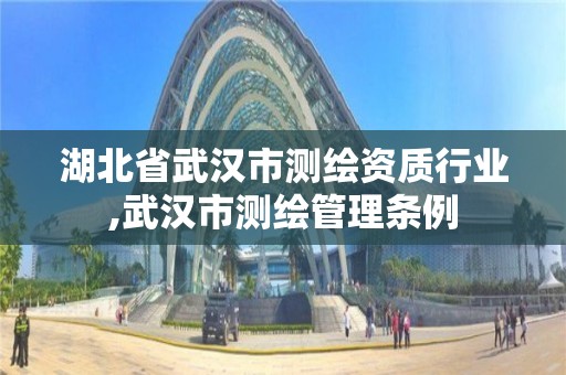 湖北省武汉市测绘资质行业,武汉市测绘管理条例