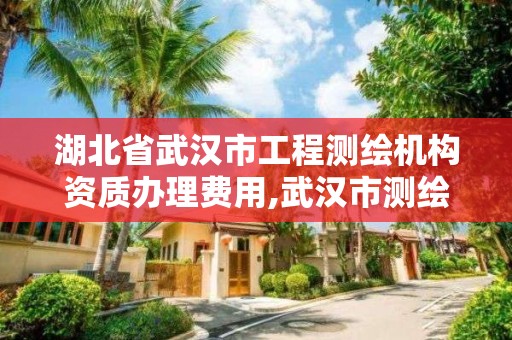 湖北省武汉市工程测绘机构资质办理费用,武汉市测绘工程技术规定。