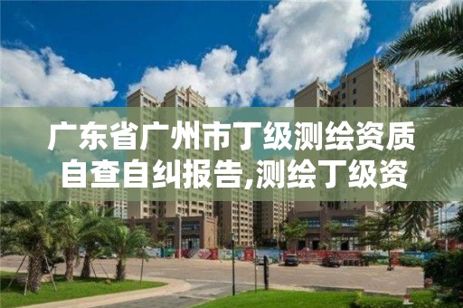 广东省广州市丁级测绘资质自查自纠报告,测绘丁级资质承接业务范围。