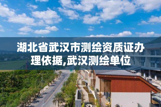 湖北省武汉市测绘资质证办理依据,武汉测绘单位