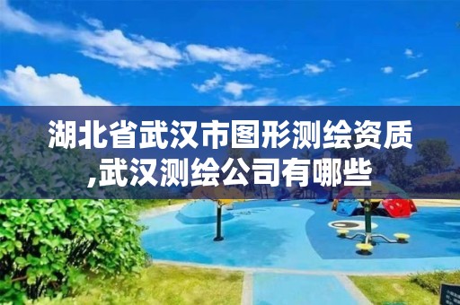 湖北省武汉市图形测绘资质,武汉测绘公司有哪些