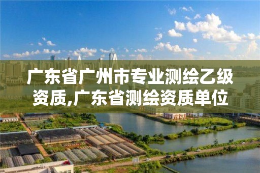 广东省广州市专业测绘乙级资质,广东省测绘资质单位名单