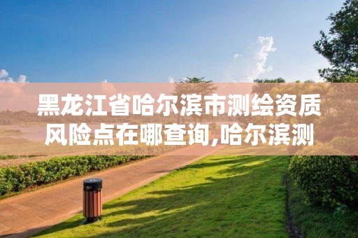 黑龙江省哈尔滨市测绘资质风险点在哪查询,哈尔滨测绘局是干什么的