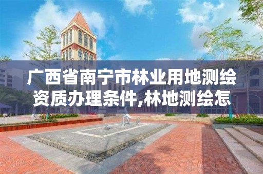 广西省南宁市林业用地测绘资质办理条件,林地测绘怎么收费的