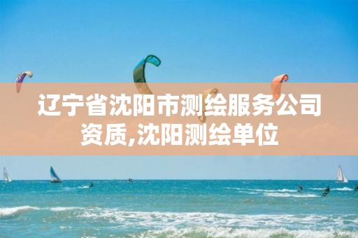 辽宁省沈阳市测绘服务公司资质,沈阳测绘单位 辽宁省沈阳市测绘服务公司资质,沈阳测绘单位