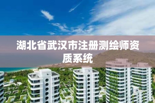 湖北省武汉市注册测绘师资质系统