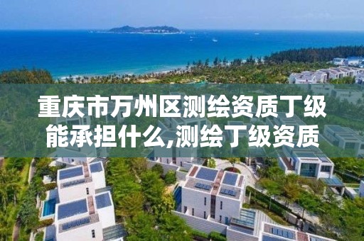 重庆市万州区测绘资质丁级能承担什么,测绘丁级资质申报条件。