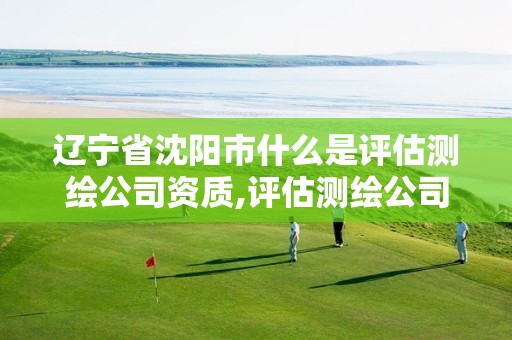 辽宁省沈阳市什么是评估测绘公司资质,评估测绘公司上班