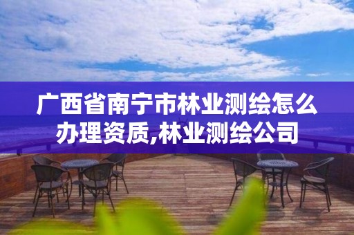 广西省南宁市林业测绘怎么办理资质,林业测绘公司