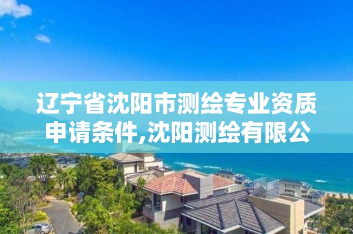 辽宁省沈阳市测绘专业资质申请条件,沈阳测绘有限公司