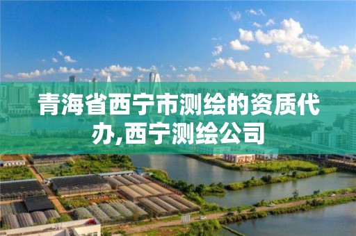 青海省西宁市测绘的资质代办,西宁测绘公司