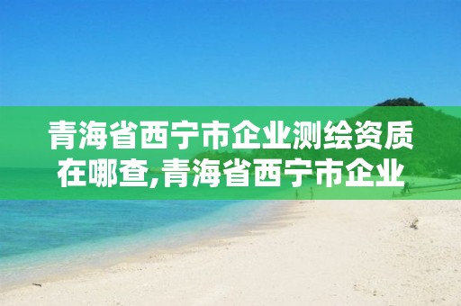 青海省西宁市企业测绘资质在哪查,青海省西宁市企业测绘资质在哪查询