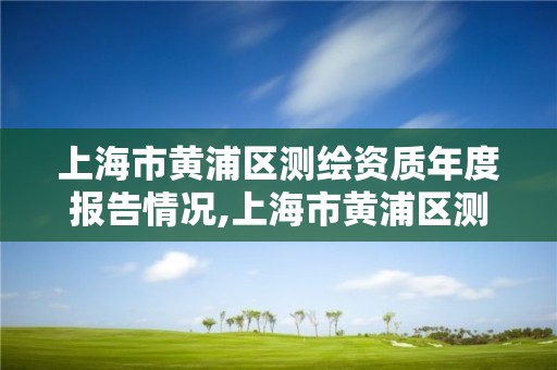 上海市黄浦区测绘资质年度报告情况,上海市黄浦区测绘中心。