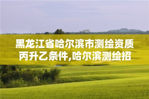 黑龙江省哈尔滨市测绘资质丙升乙条件,哈尔滨测绘招聘