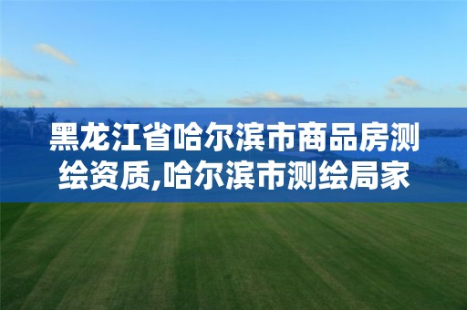 黑龙江省哈尔滨市商品房测绘资质,哈尔滨市测绘局家属楼