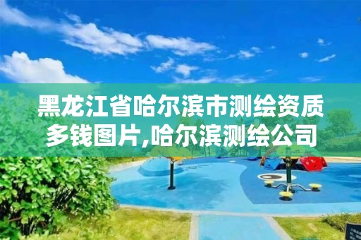 黑龙江省哈尔滨市测绘资质多钱图片,哈尔滨测绘公司哪家好